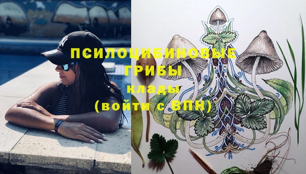 гидра Покров