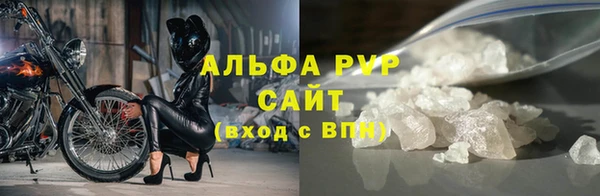 сатива Покачи