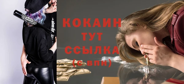 сатива Покачи