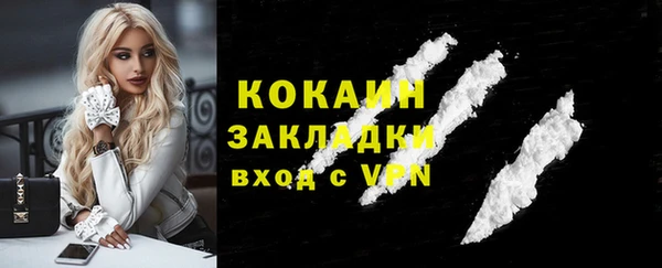 сатива Покачи