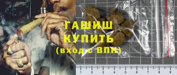 сатива Покачи