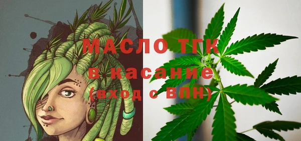 сатива Покачи