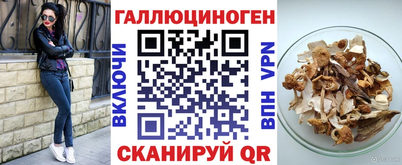 Псилоцибиновые грибы Cubensis Бокситогорск